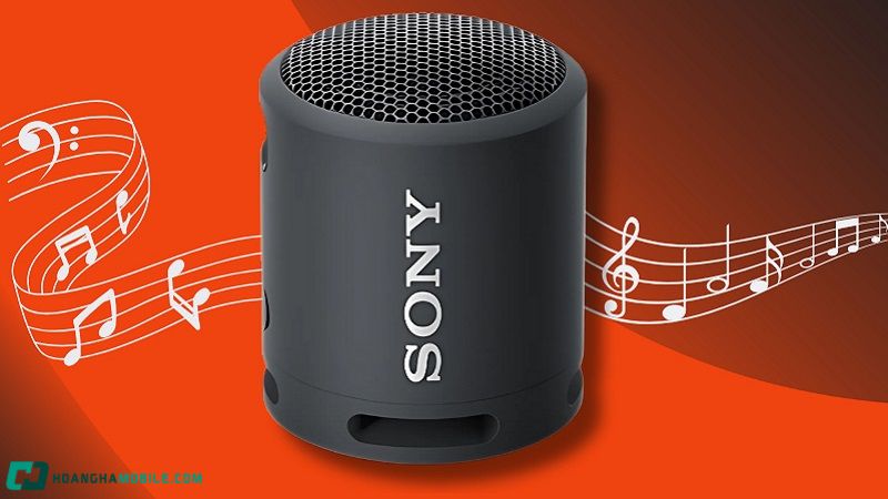 Loa-Bluetooth-Sony-Xb-13-4