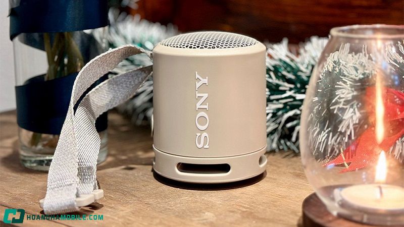 Loa-Bluetooth-Sony-Xb-13-7