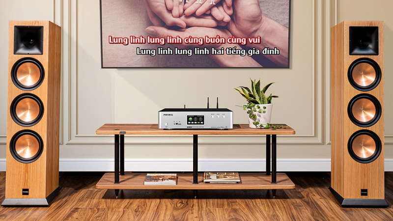 Loa-Hat-Karaoke-Gia-Dinh-12