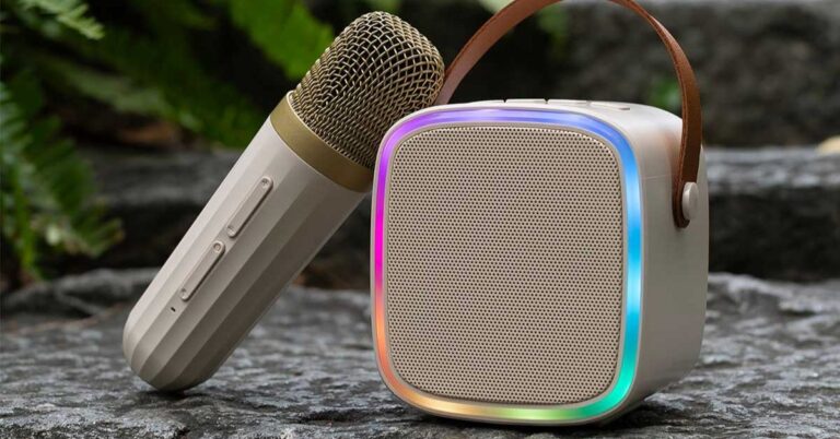 loa-hat-karaoke-gia-dinh