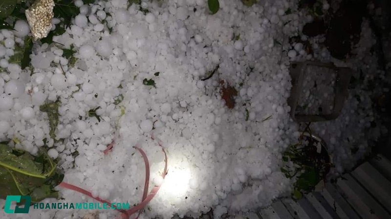 nguyen-nhan-mua-da-1