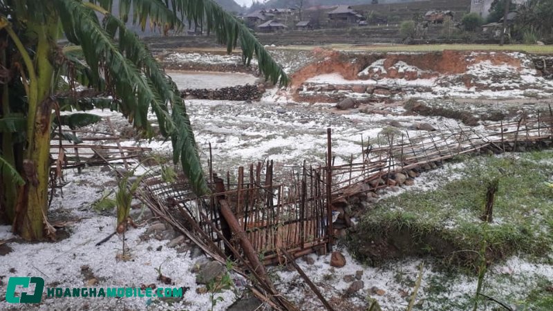 nguyen-nhan-mua-da-3