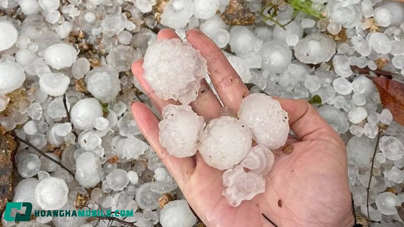 nguyen-nhan-mua-da-6