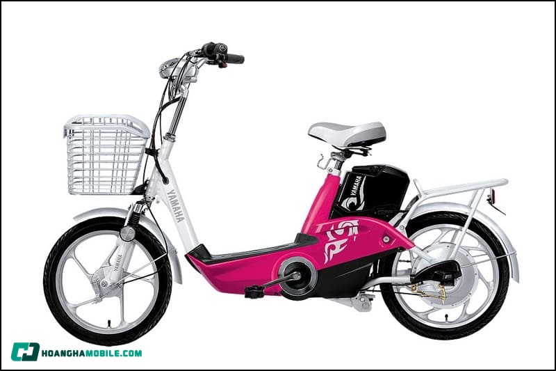 pin-xe-dap-dien-09