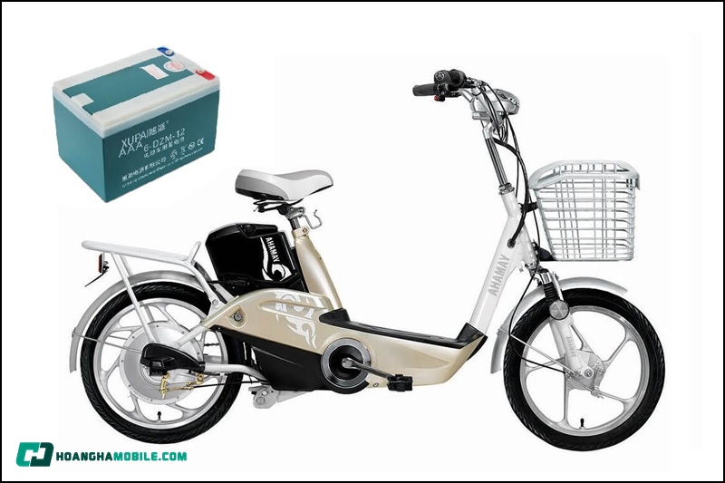 pin-xe-dap-dien-10