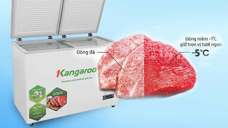 Tủ Cấp Đông Là Gì? Đặc Điểm Nổi Bật Và Kinh Nghiệm Chọn Mua Phù Hợp Tu-Cap-Dong-3