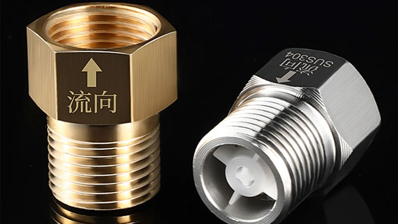 Van-1-Chieu-Binh-Nong-Lanh-2