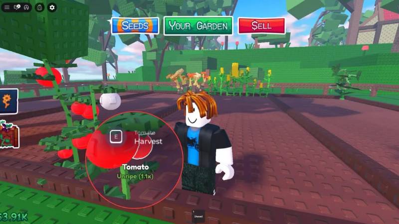 bien-di-va-he-so-dac-diem-4