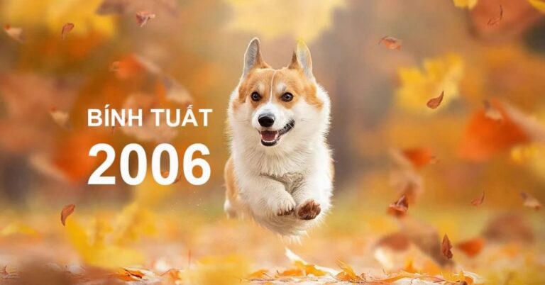 binh-tuat-menh-gi-thumb