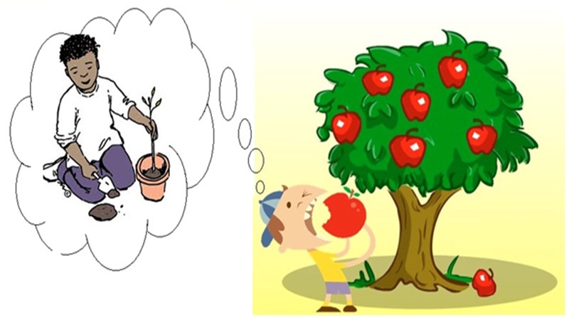 nhung-cau-danh-ngon-ve-cuoc-song-hay-nhat-4