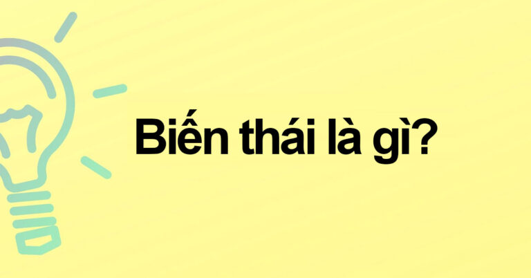 bien-thai-la-gi