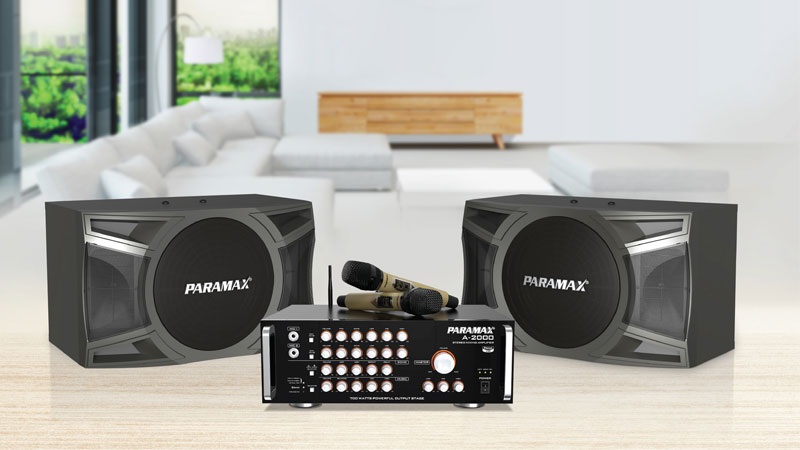 Dan-Karaoke-Gia-Dinh-9