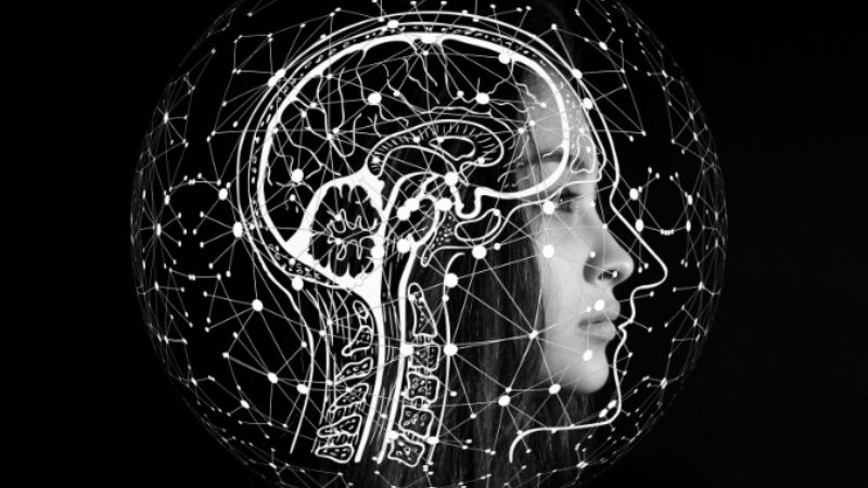 the-gioi-quan-la-gi-3