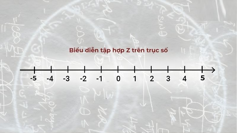 z-la-tap-hop-so-gi-3