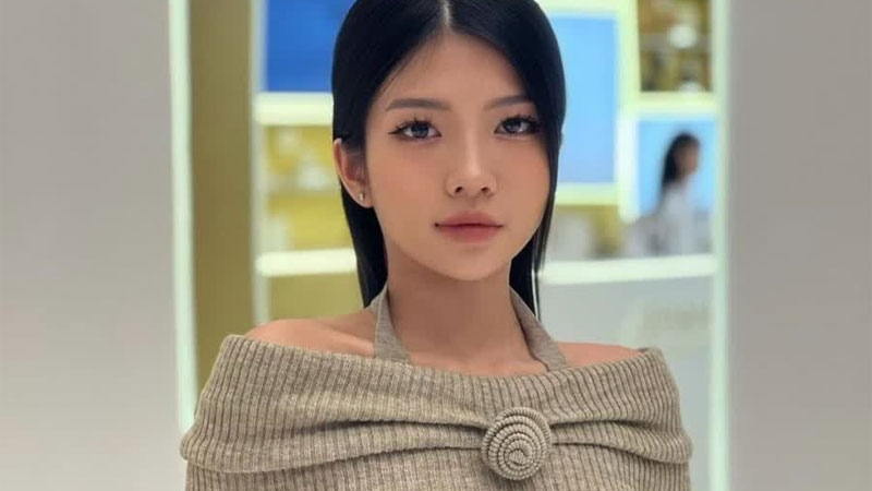 haley-pham-ban-quat-la-gi-2