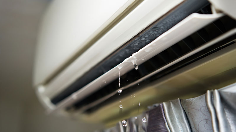 may-lanh-chay-nuoc-la-bi-gi-1