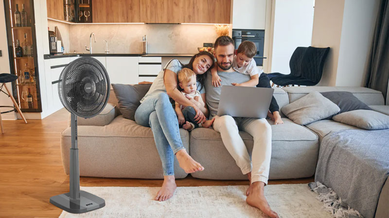 quat-cay-mitsubishi-4