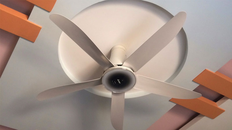 quat-cay-mitsubishi-5