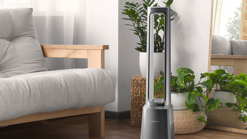 quat-khong-canh-la-gi-3