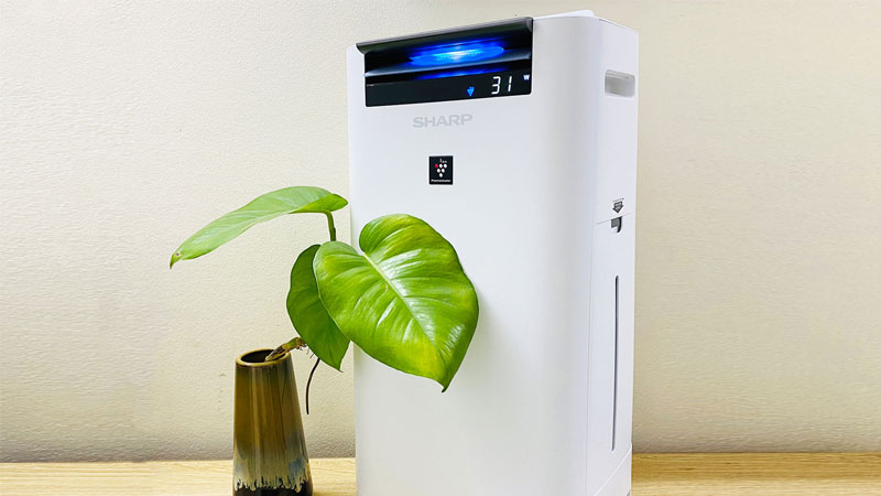 sharp-may-loc-khong-khi-5