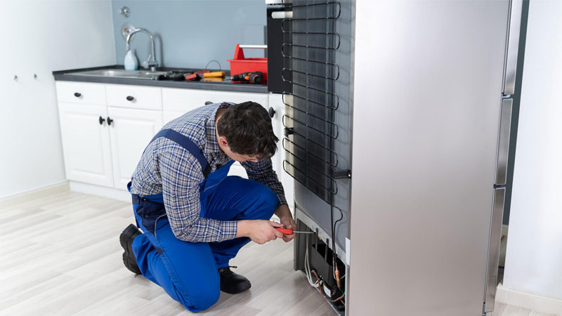 sua-tu-lanh-gia-re-2