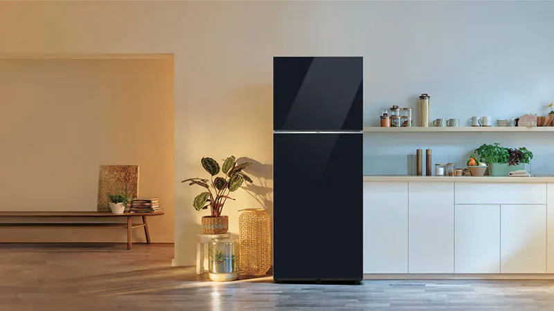 tu-lanh-2-canh-samsung-1