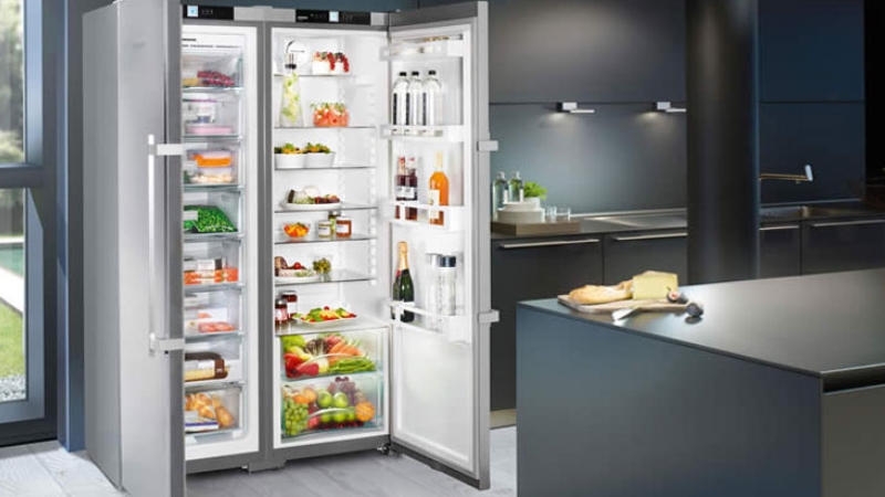 tu-lanh-samsung-2-canh-5