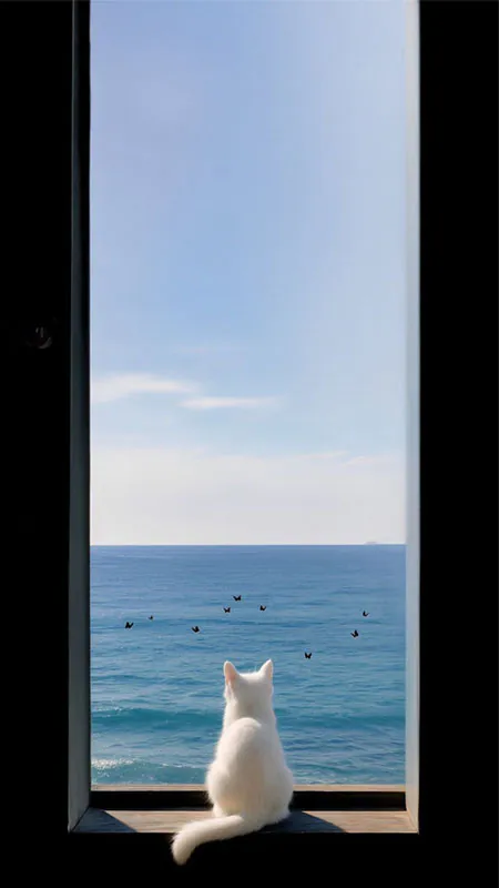 hinh-nen-iphone-16-pro-max-12