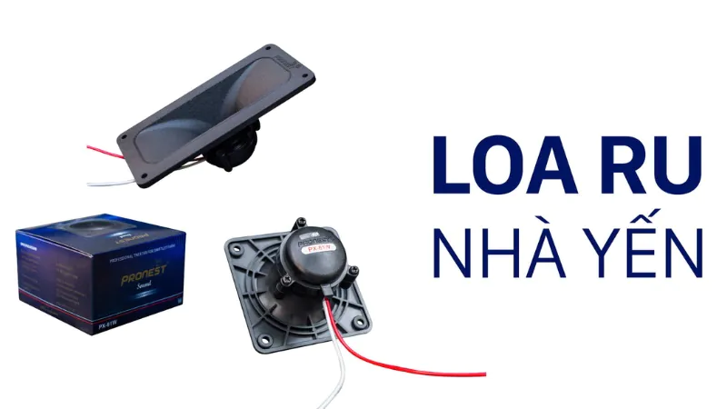 loa-ru-nha-yen-6