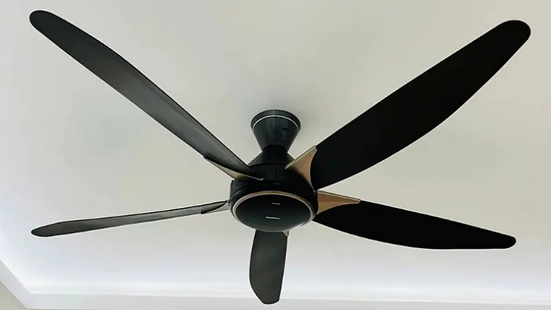 quat-tran-panasonic-5-canh-2