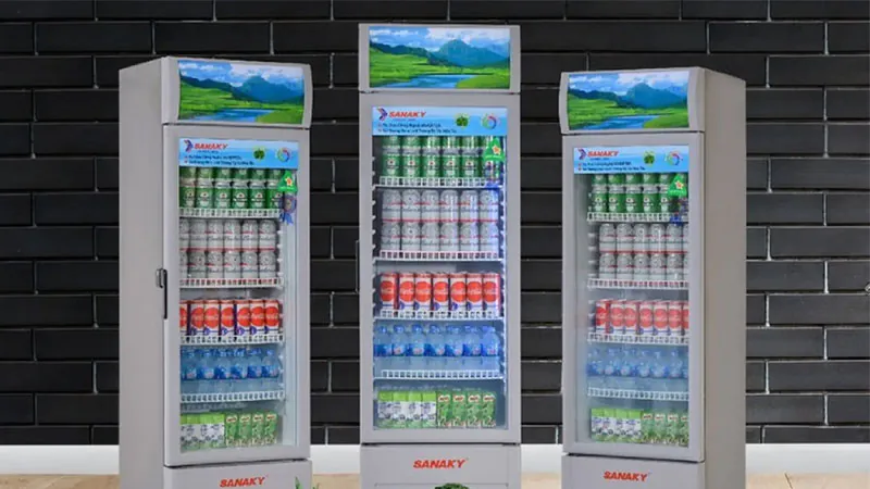 tu-mat-sanaky-3