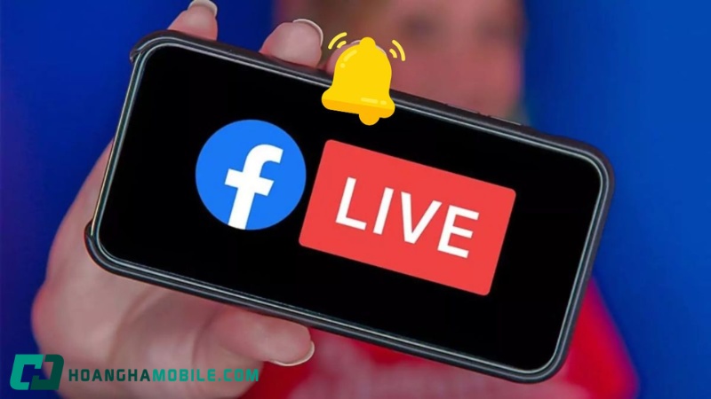 App live stream show là gì