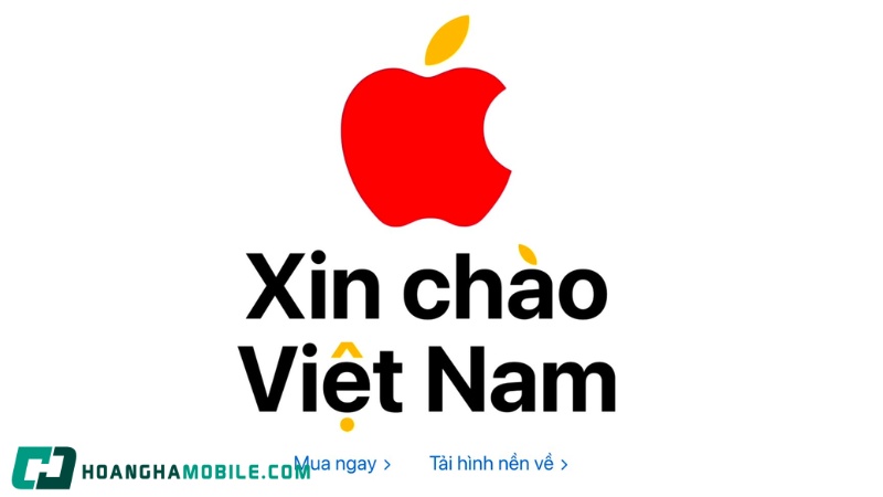 apple-store-vn-1