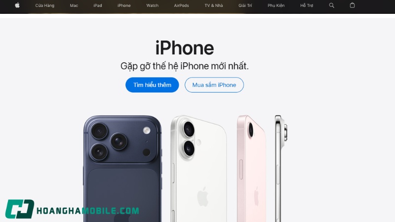 apple-store-vn-4