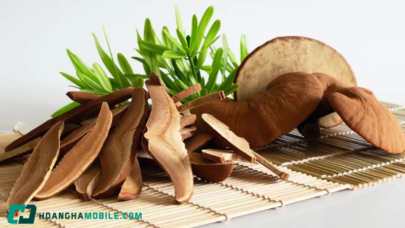 cach-su-dung-nam-linh-chi-1