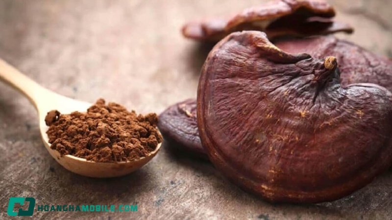 cach-su-dung-nam-linh-chi-3