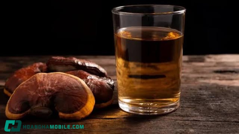 cach-su-dung-nam-linh-chi-4