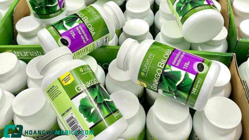 Cách Sử Dụng Thuốc Bổ Não Ginkgo Biloba: Công Dụng, Liều Dùng & Lưu Ý 2026 13 cach-su-dung-thuoc-bo-nao-ginkgo-biloba-2