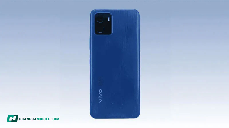 vivo-1901-3