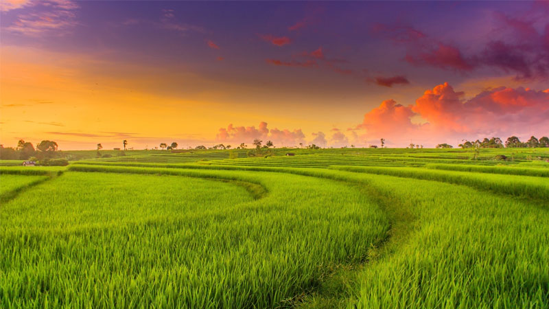 1-ha-bang-bao-nhieu-m2-3