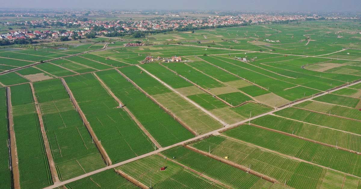 1-ha-bang-bao-nhieu-m2