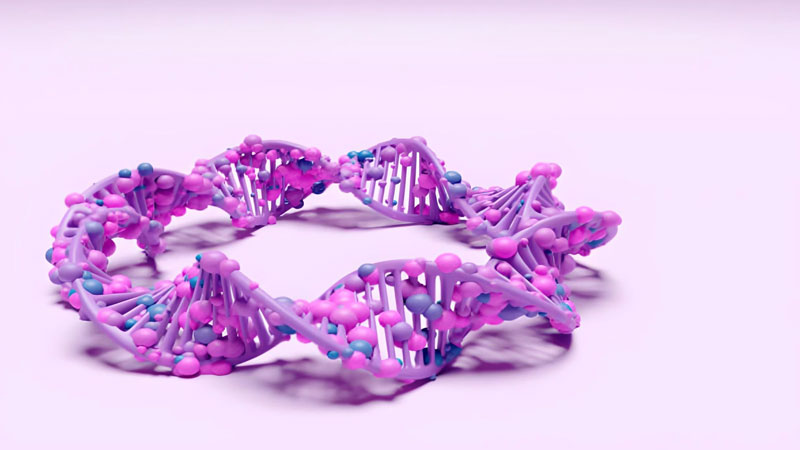 adn-la-gi-1