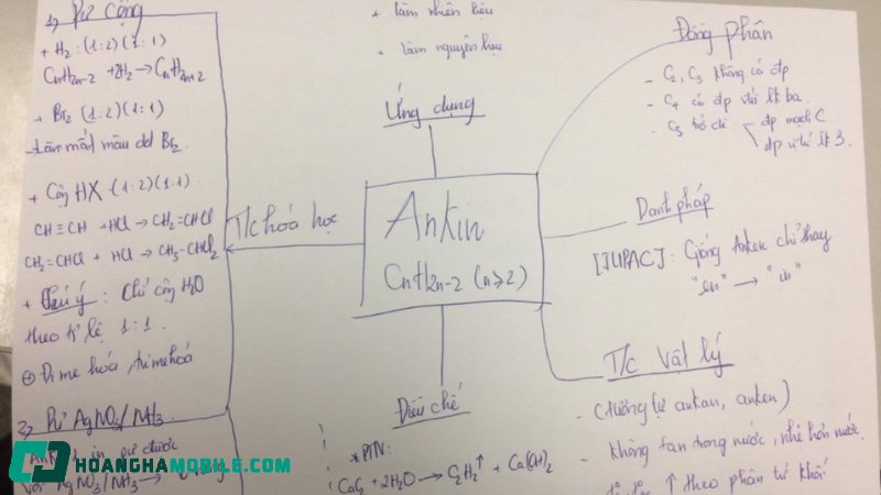 ankin-3
