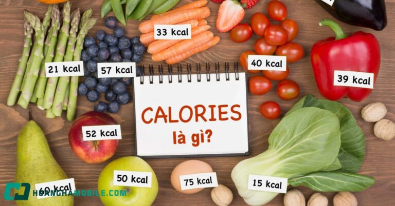 calo-la-gi