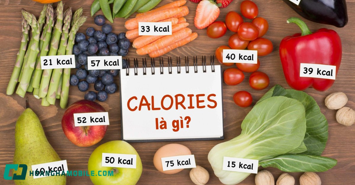 calo-la-gi