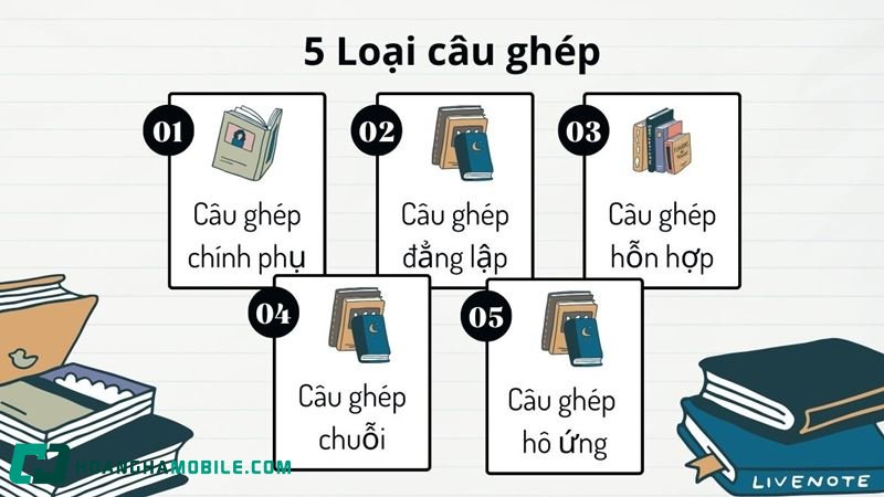 cau-ghep-la-gi-1