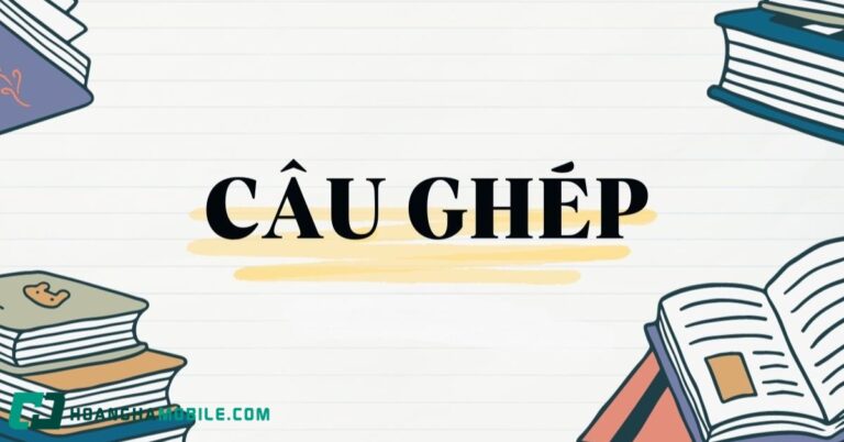 cau-ghep-la-gi