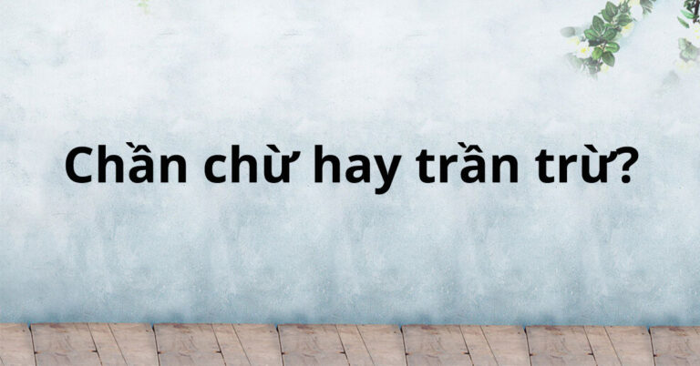 chan-chu-hay-tran-tru
