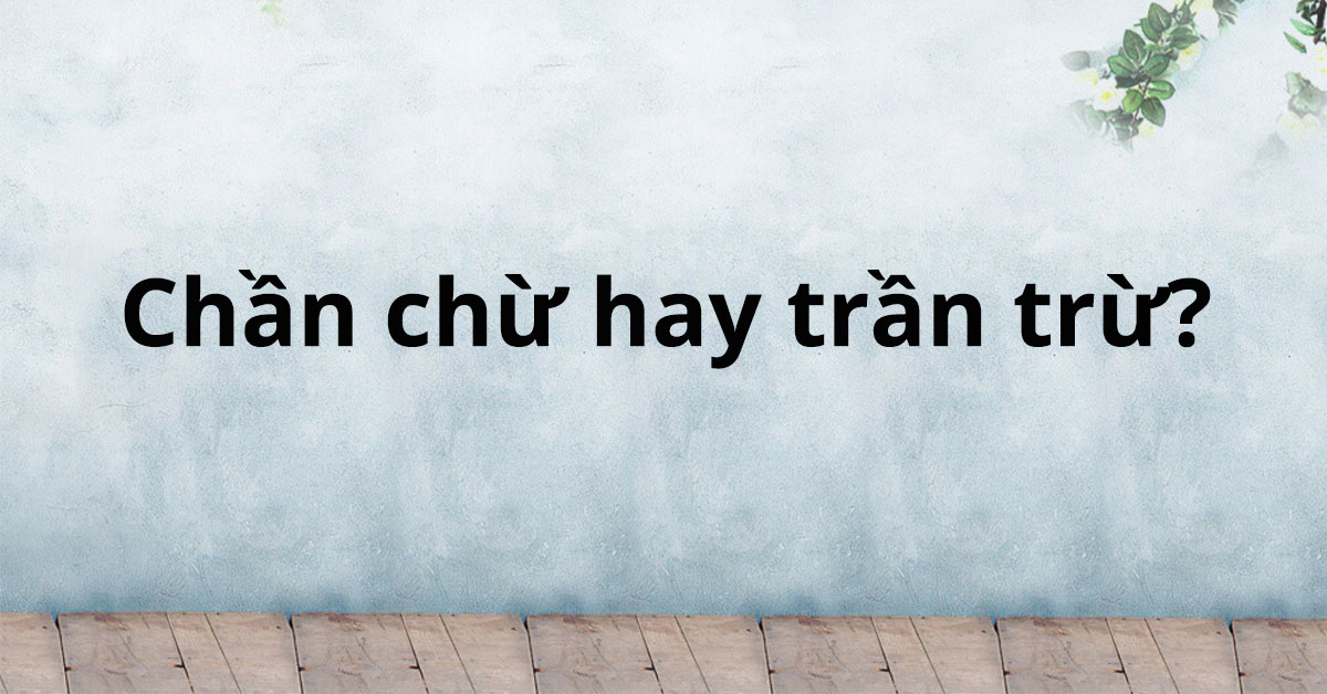 chan-chu-hay-tran-tru