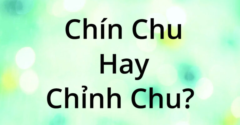 chin-chu-hay-chinh-chu